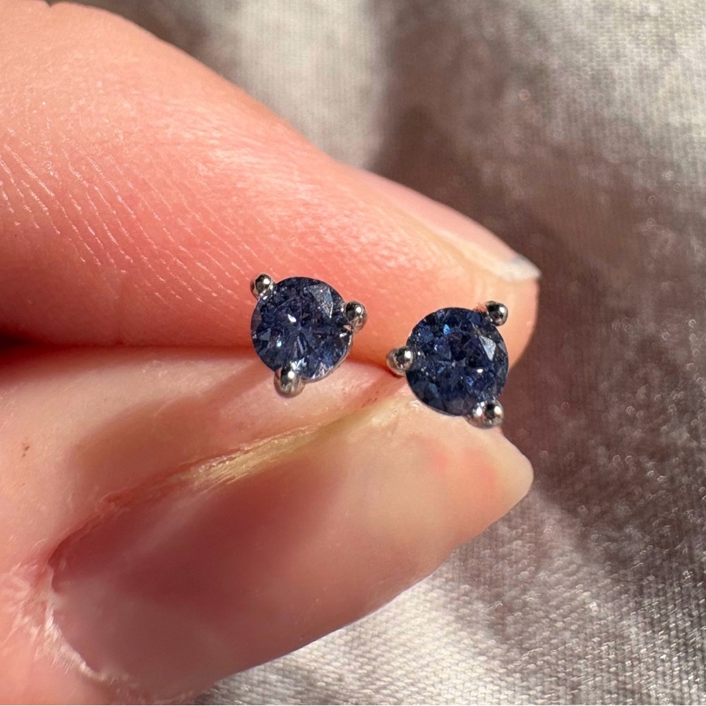 Silver Blue Stud Earrings